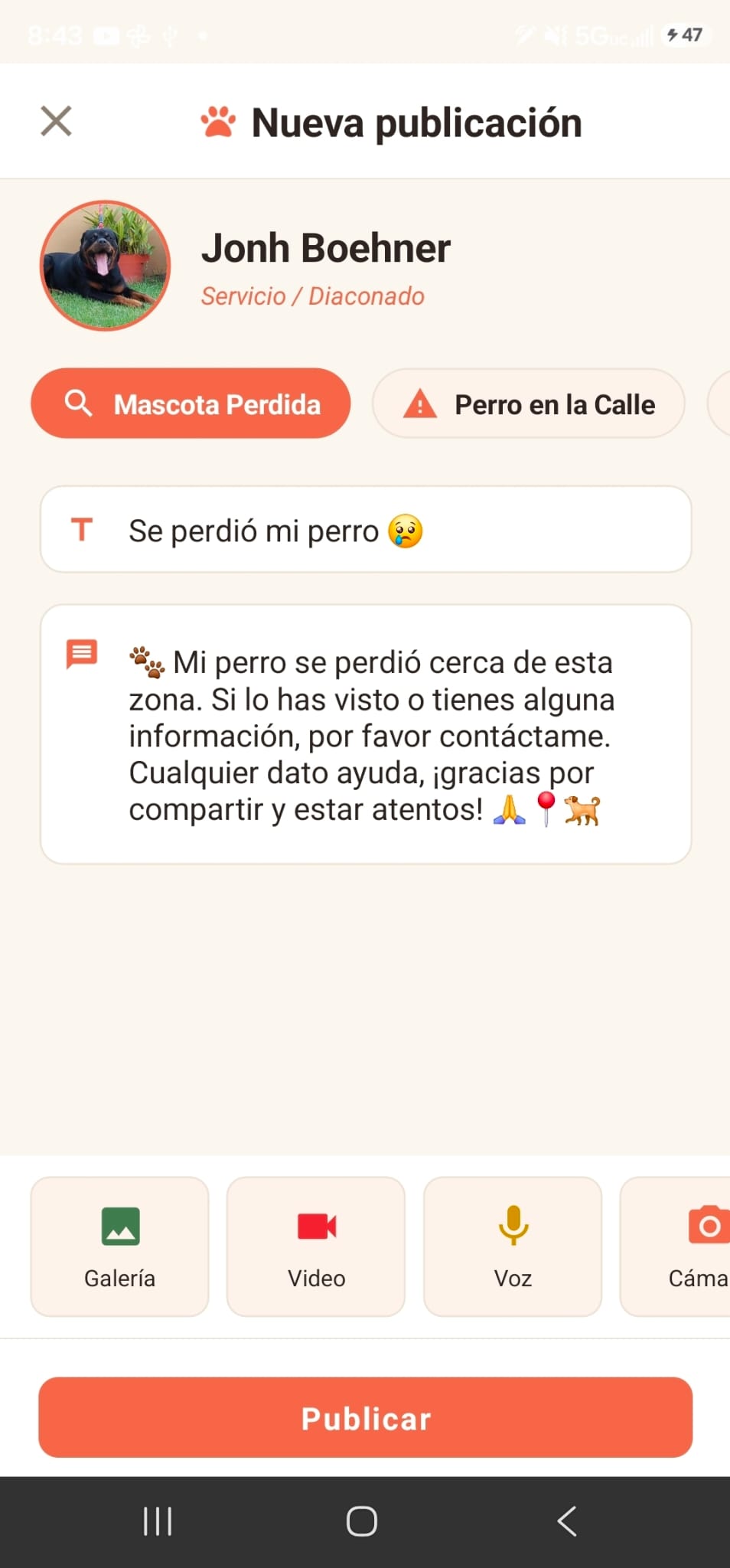 Perfil
